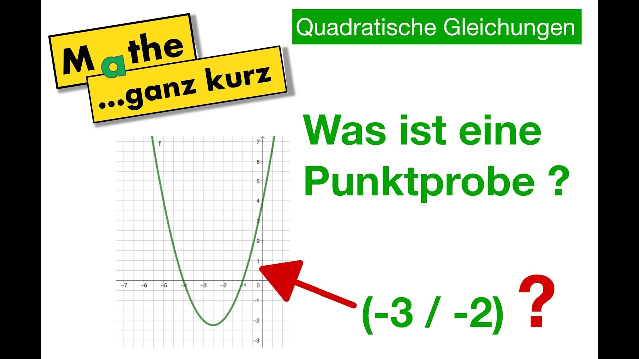 Was ist eine Punktprobe? Oder die Frage: Liegt ein bestimmter Punkt auf dem Graphen der Funktion?