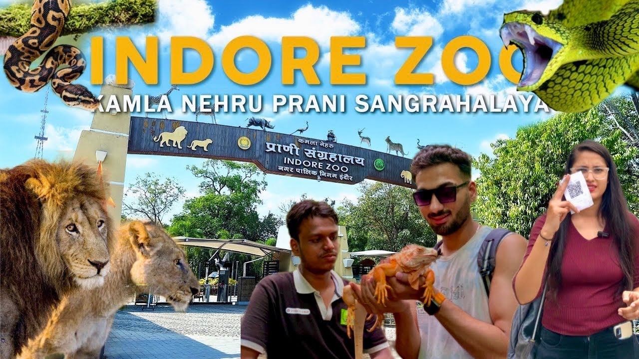 Indore zoo | kamla Nehru prani sangrahalaya | इंदौर चिड़ियाघर | indore tourist place | zoo indore ❤️