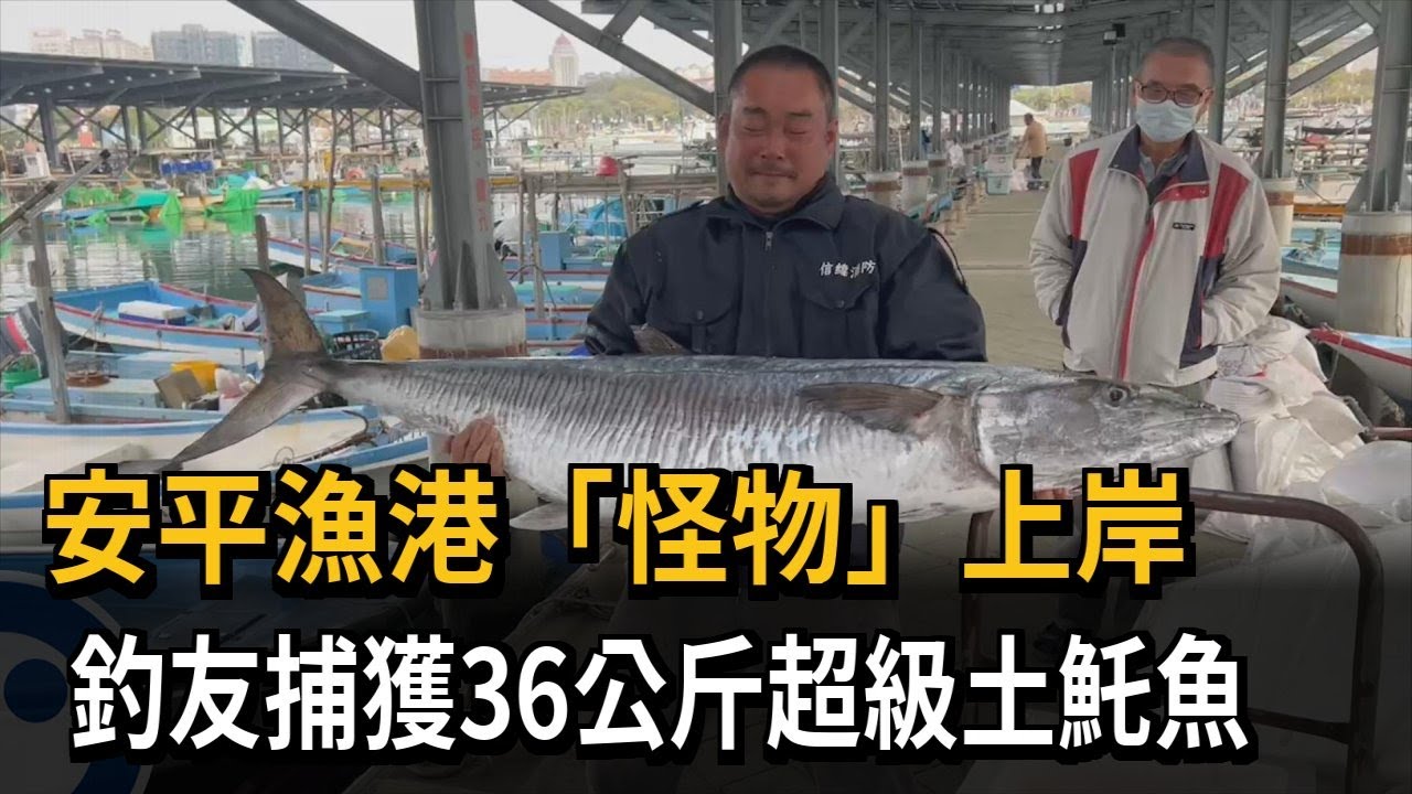 安平漁港「怪物」上岸　釣友捕獲36公斤超級土魠魚－民視新聞