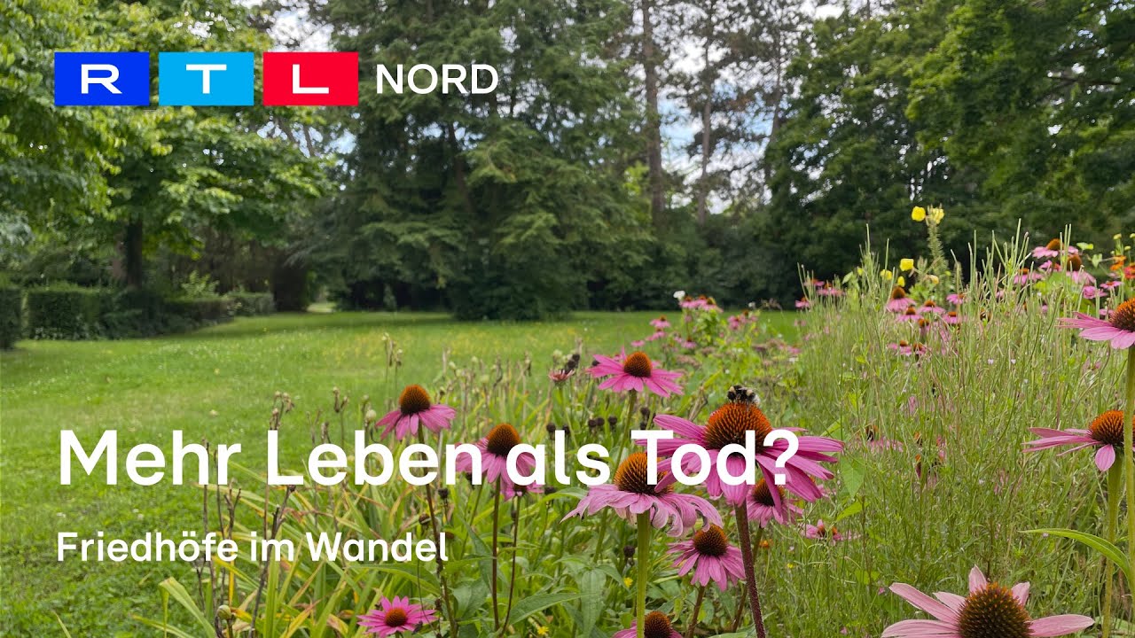 Friedh&ouml;fe neu gedacht: Viel Leben und der Tod