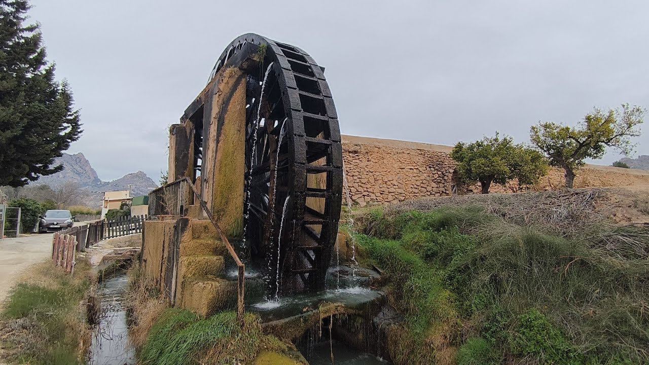 Ruta por la floración e historia de Abaran. Domingo día 22 de febrero y Domingo 1 de Marzo.