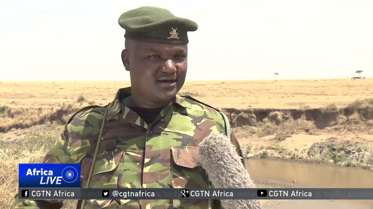 Rangers' advice for first-time tourists in the Maasai Mara
