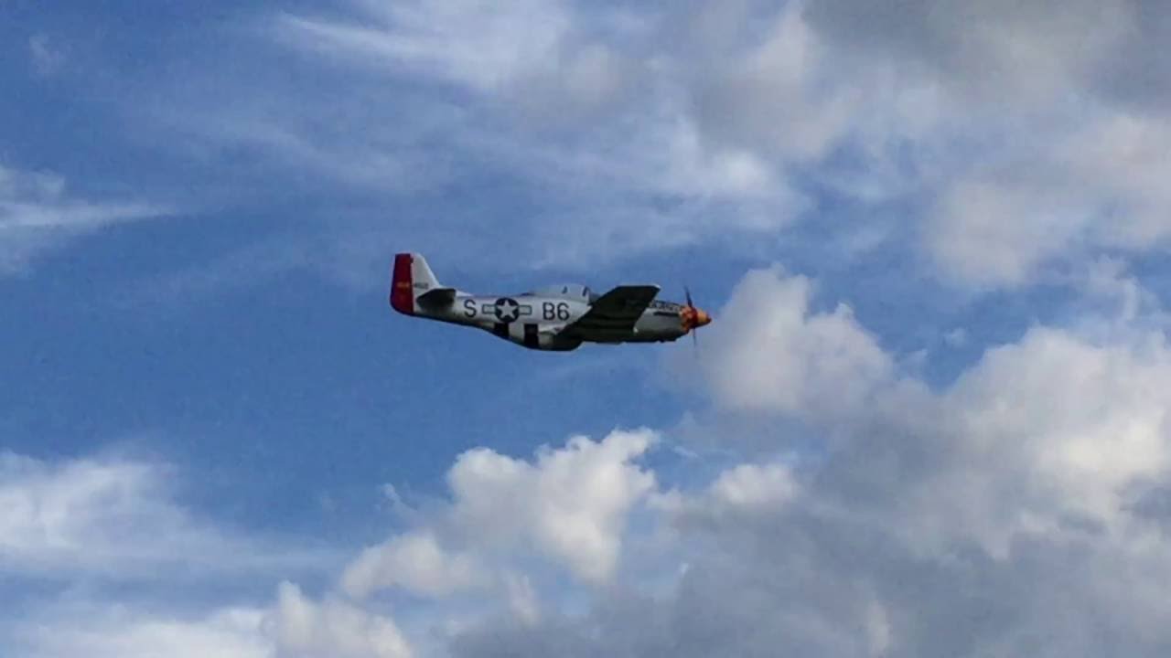 Hangar 9 P-51 60cc 