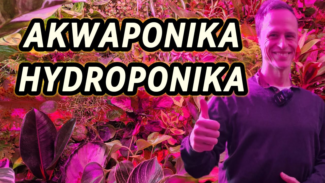 AKWAPONIKA HYDROPONIKA