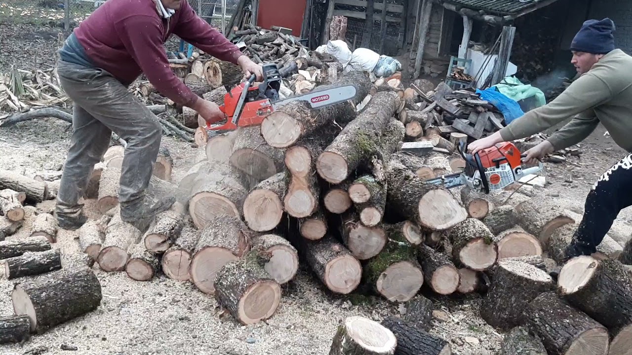 husqvarna 372 x-torq and stihl 661 having breakfast (hungry beasts)