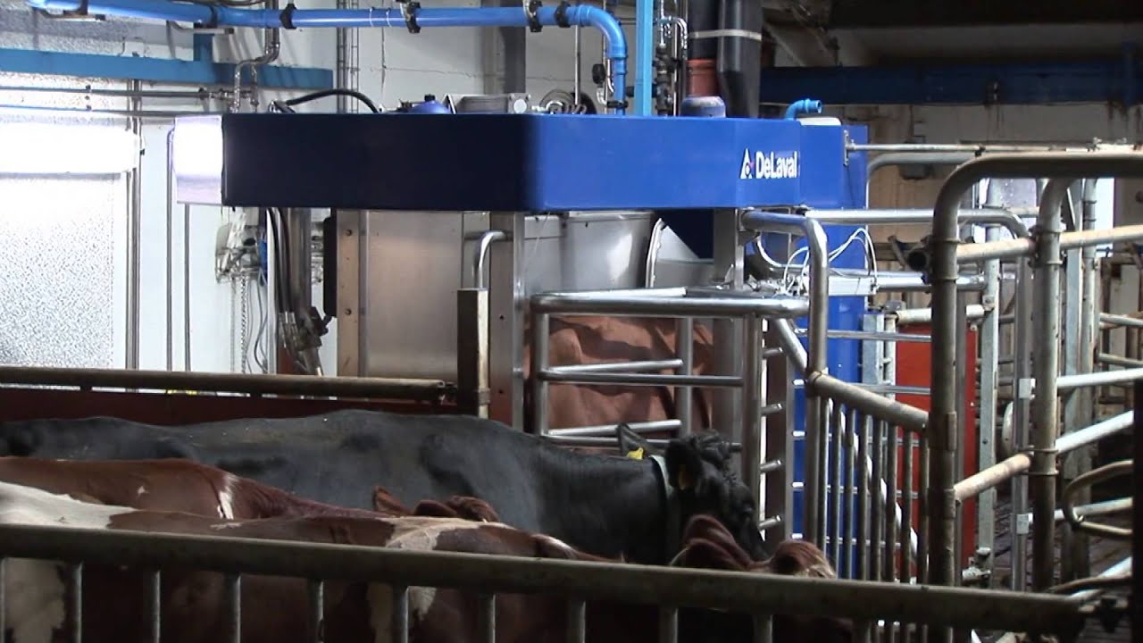 DeLaval Gjødselrobot, Garberg, Stasjon, Selbu, Norge