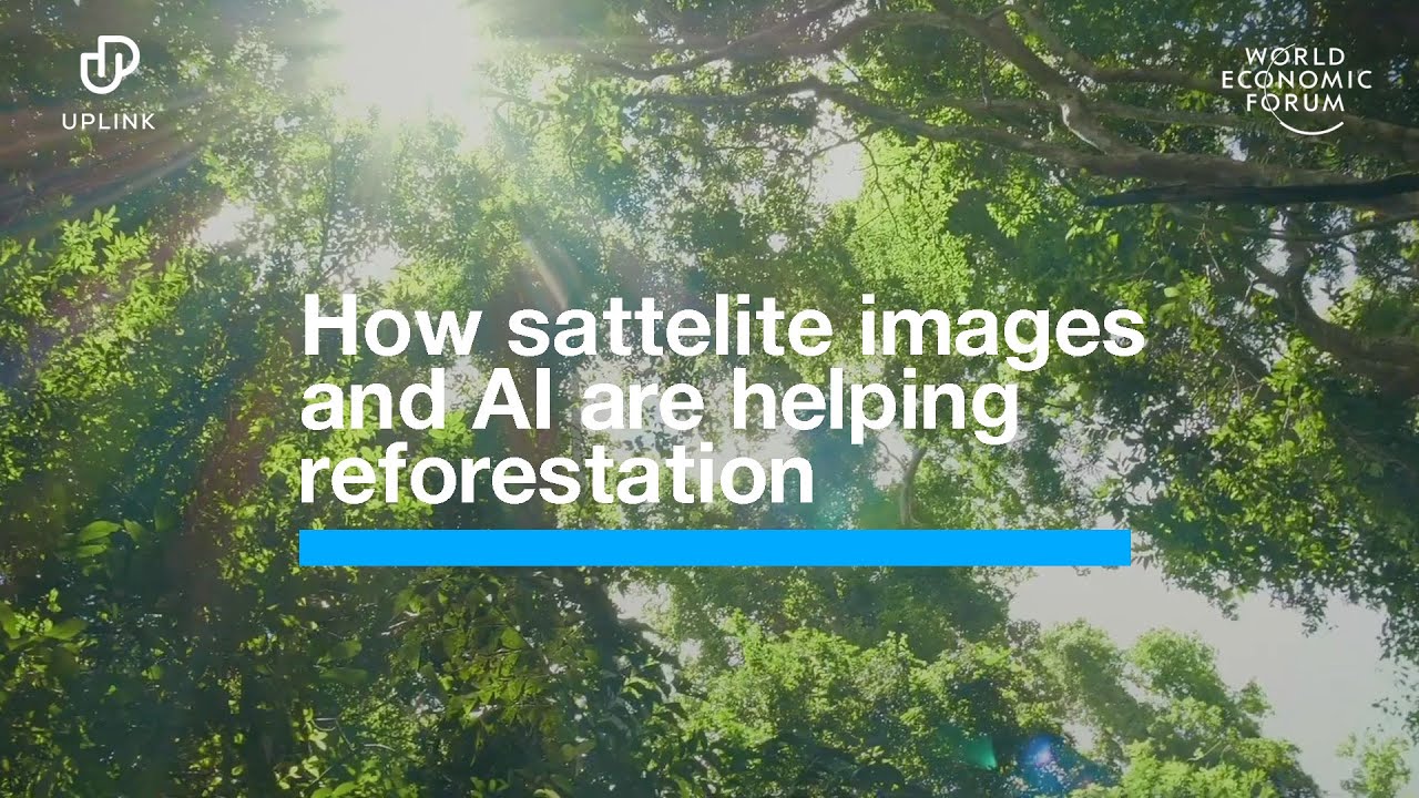 Pachama: How AI is helping reforestation | UpLink
