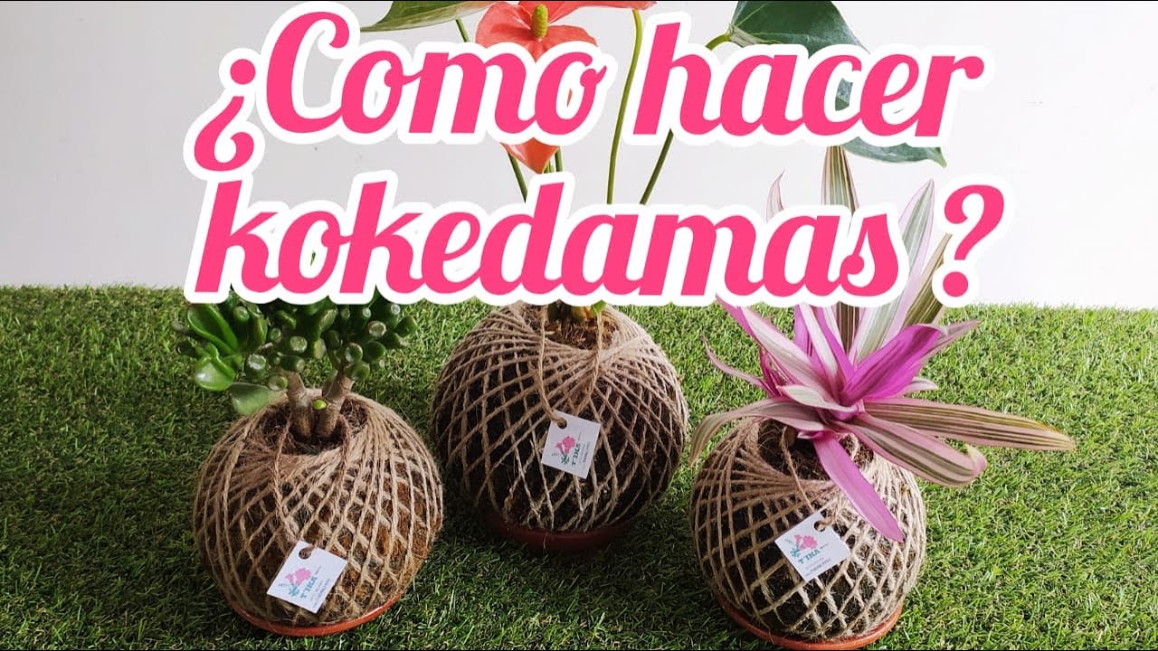 ¿COMO HACER KOKEDAMAS ? PARTE 1, EXCELENTE IDEA PARA INICIAR UN NEGOCIO RENTABLE