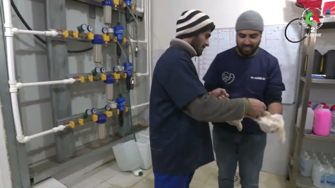 ECHOS DZ : Tiaret