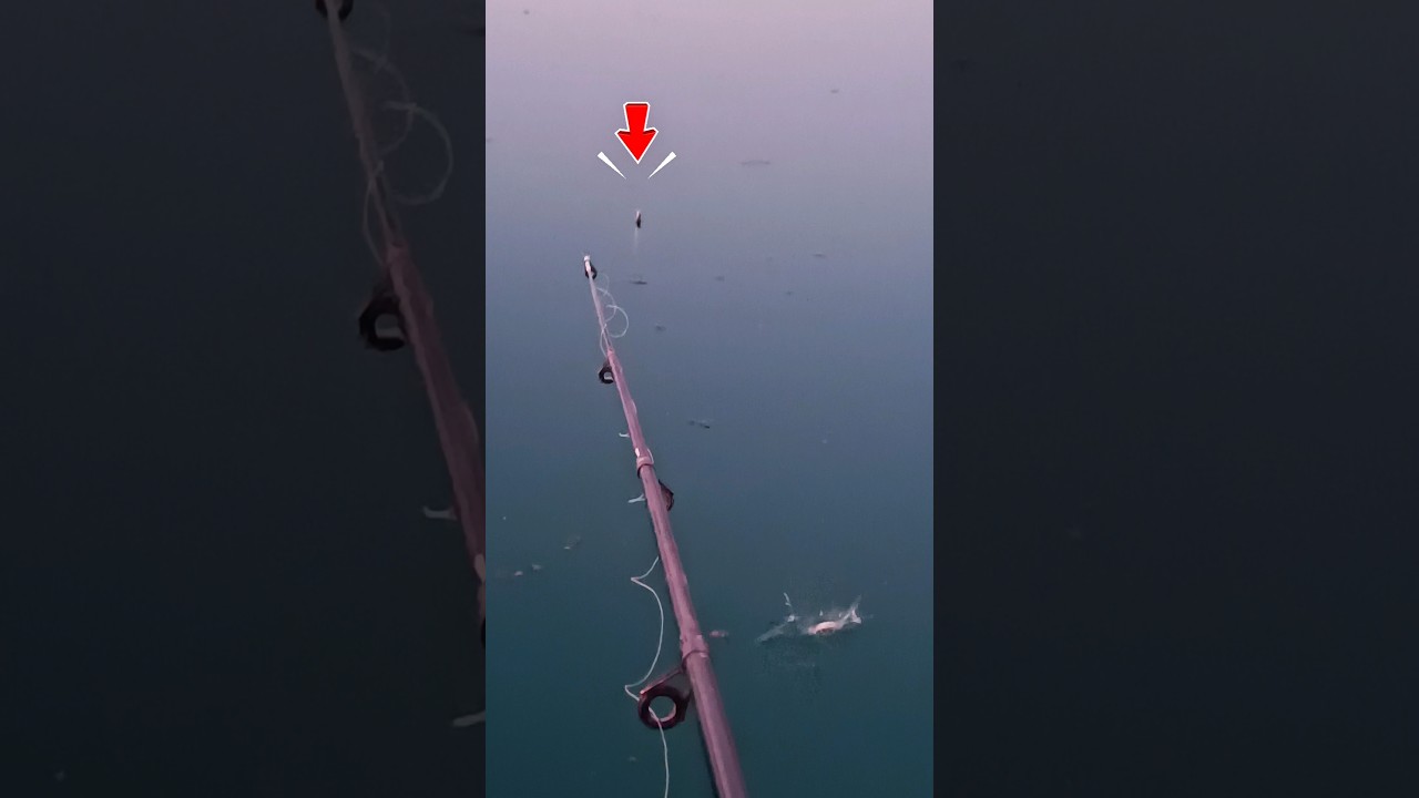 Watch the Float Closely 👀 🎣 