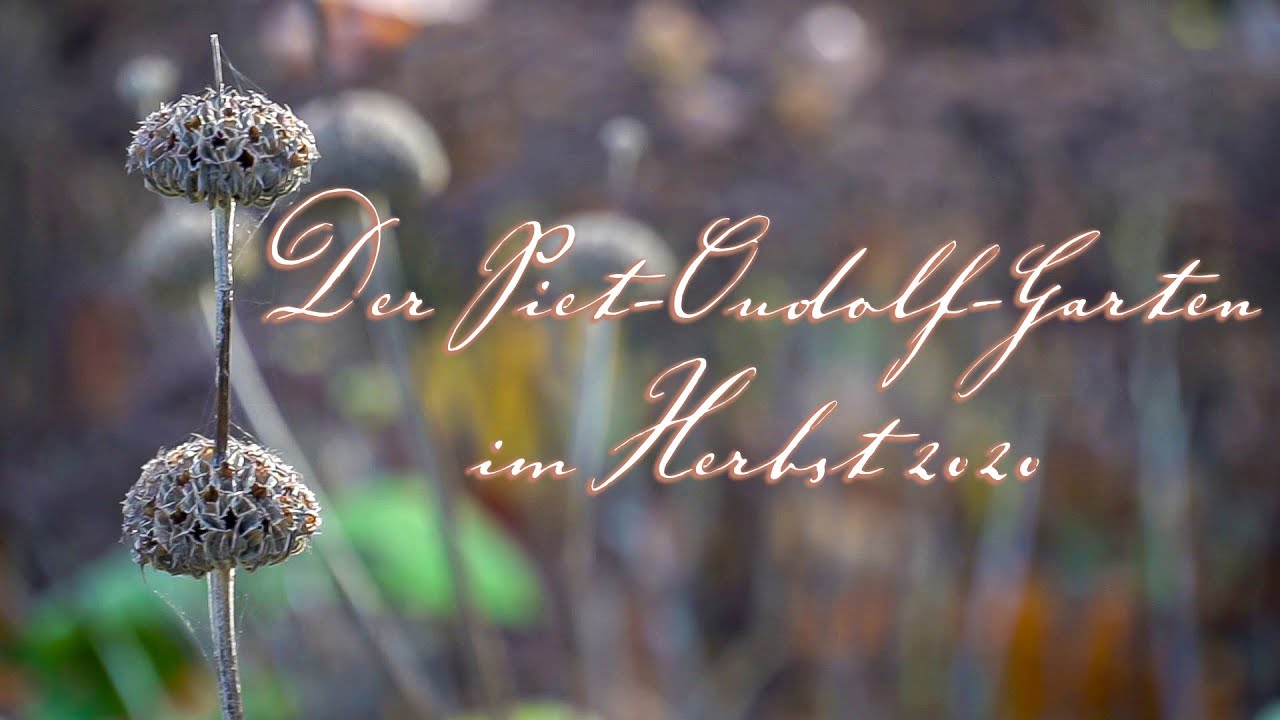 QUICKIE: Der Piet-Oudolf-Garten im Herbst 2020