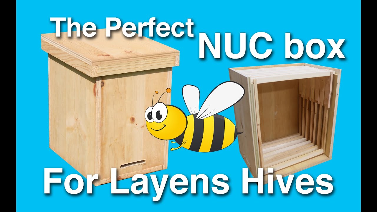 The Perfect Layens Nuc Box 09 12 2020