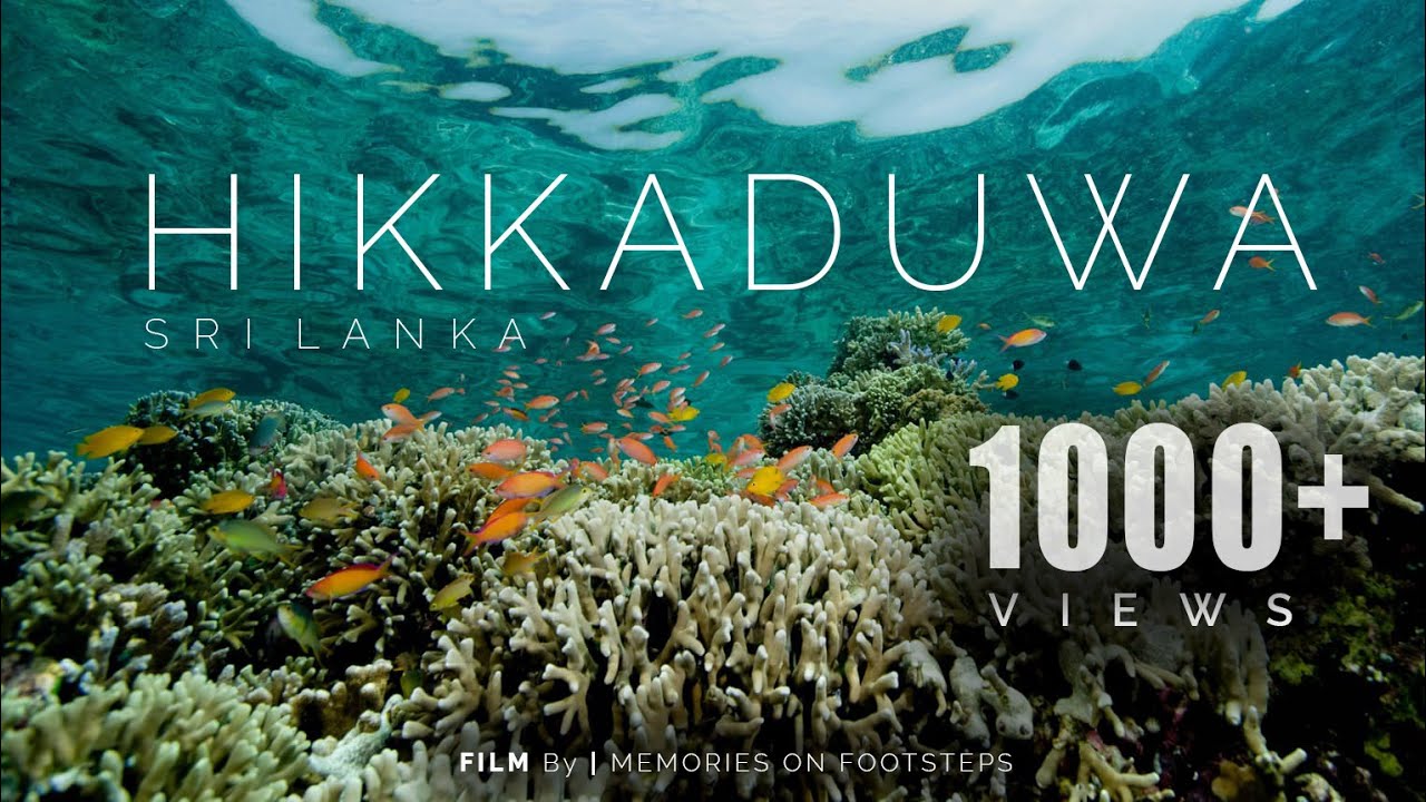 Hikkaduwa | Snorkeling | Sri Lanka