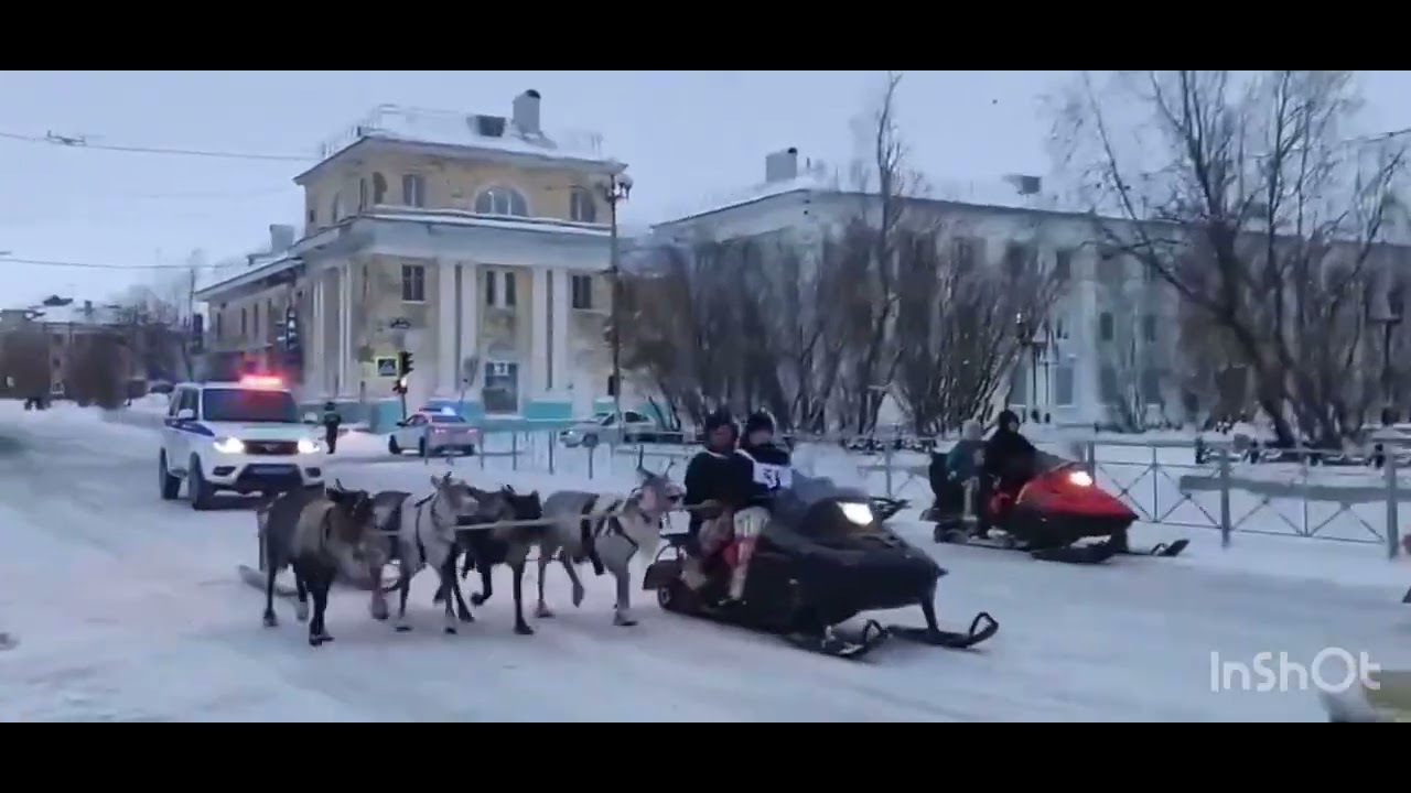 Воркута | ОЛЕНЬИ БЕГА праздник В Воркуте  #воркута