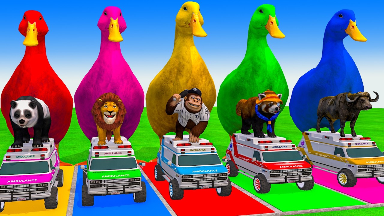 5 Giant Duck Cartoon,Cow,Elephant,Tiger,Lion,Dinosaur,Paint Wild Animals Crossing Fountain Animation