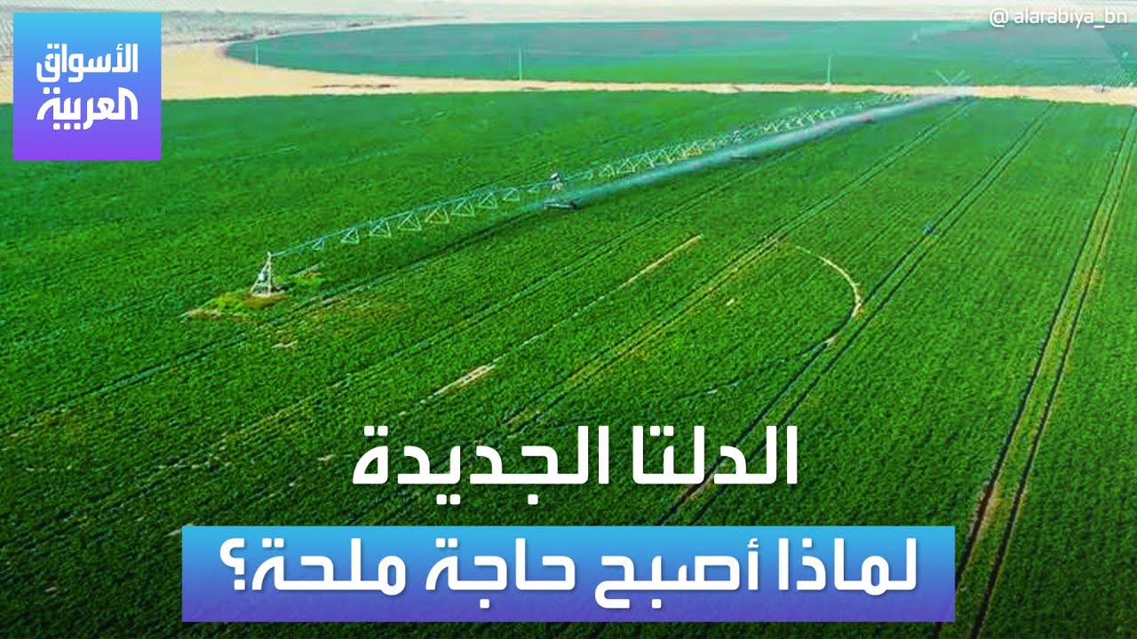 ماذا تنتظر مصر من مشروع الدلتا الجديدة ولماذا أصبح حاجة ملحّة؟