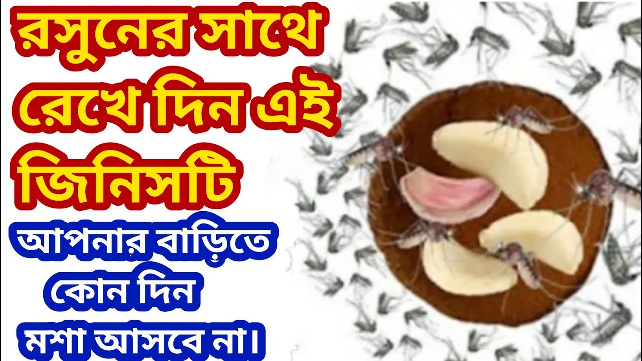 কোনরকম ওষুধ কেমিক্যাল ছাড়াই বাড়ি থেকে মশা তাড়িয়ে ফেলুন দু মিনিটে/mosquito killer/home remedies 