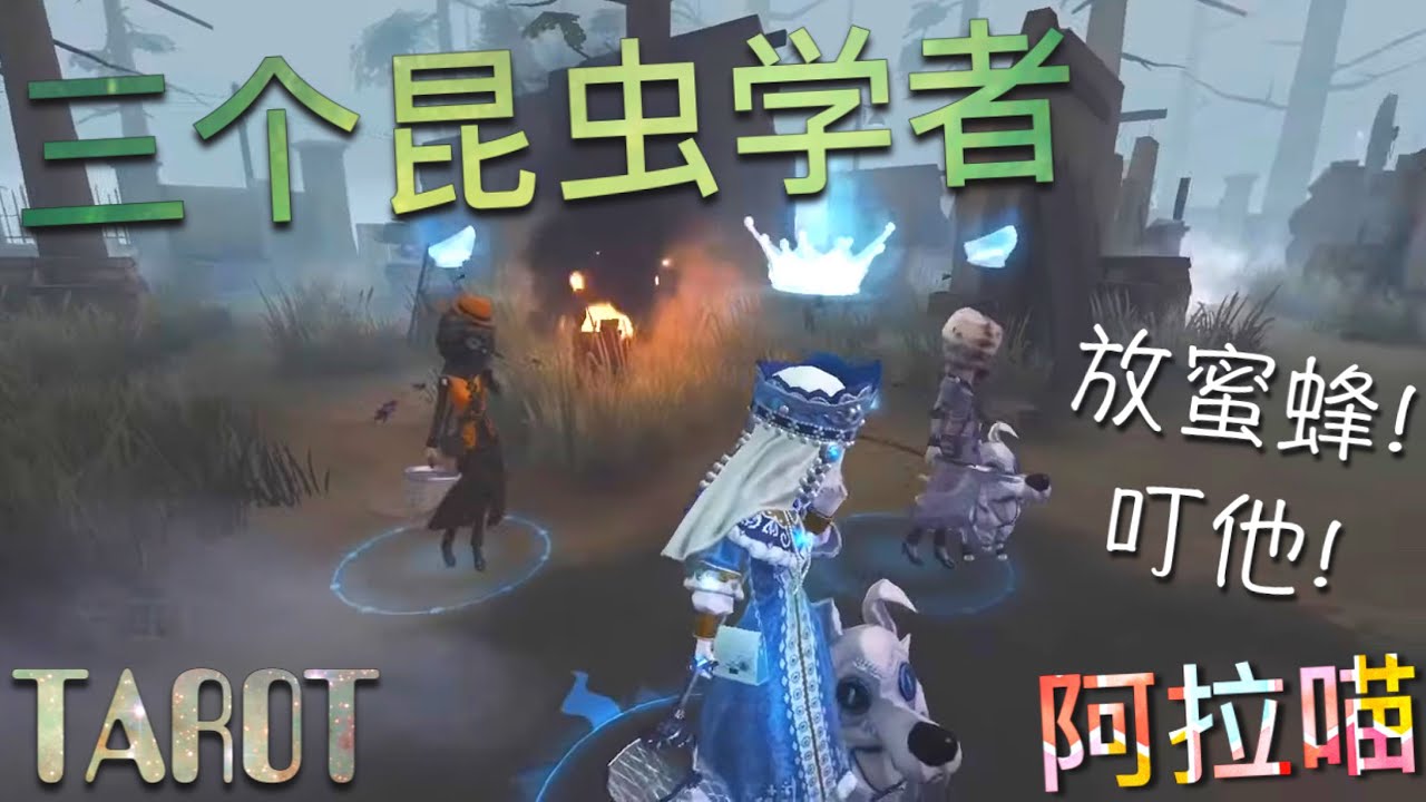 【第五人格】三个昆虫学者！(≧∇≦) OMG！虫群一堆又一堆！【TAROT】
