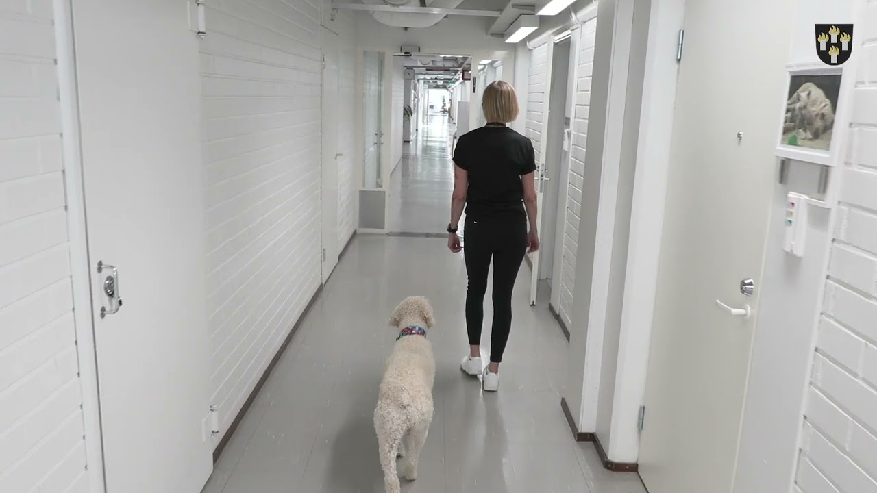 Suomussalmen ty&ouml;llisyyspalvelujen esittely