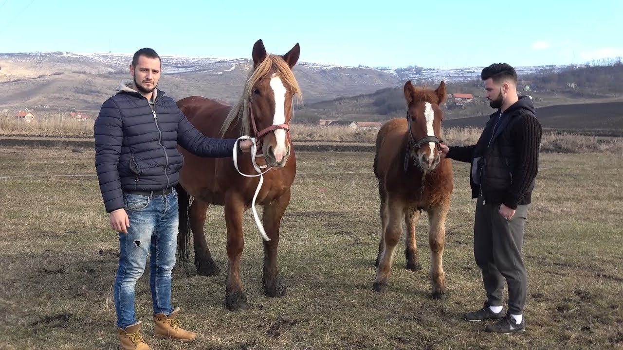In vizita la Sebi de la Tritenii Hotar, Cluj cu Marius si Andrei de la Turda2019