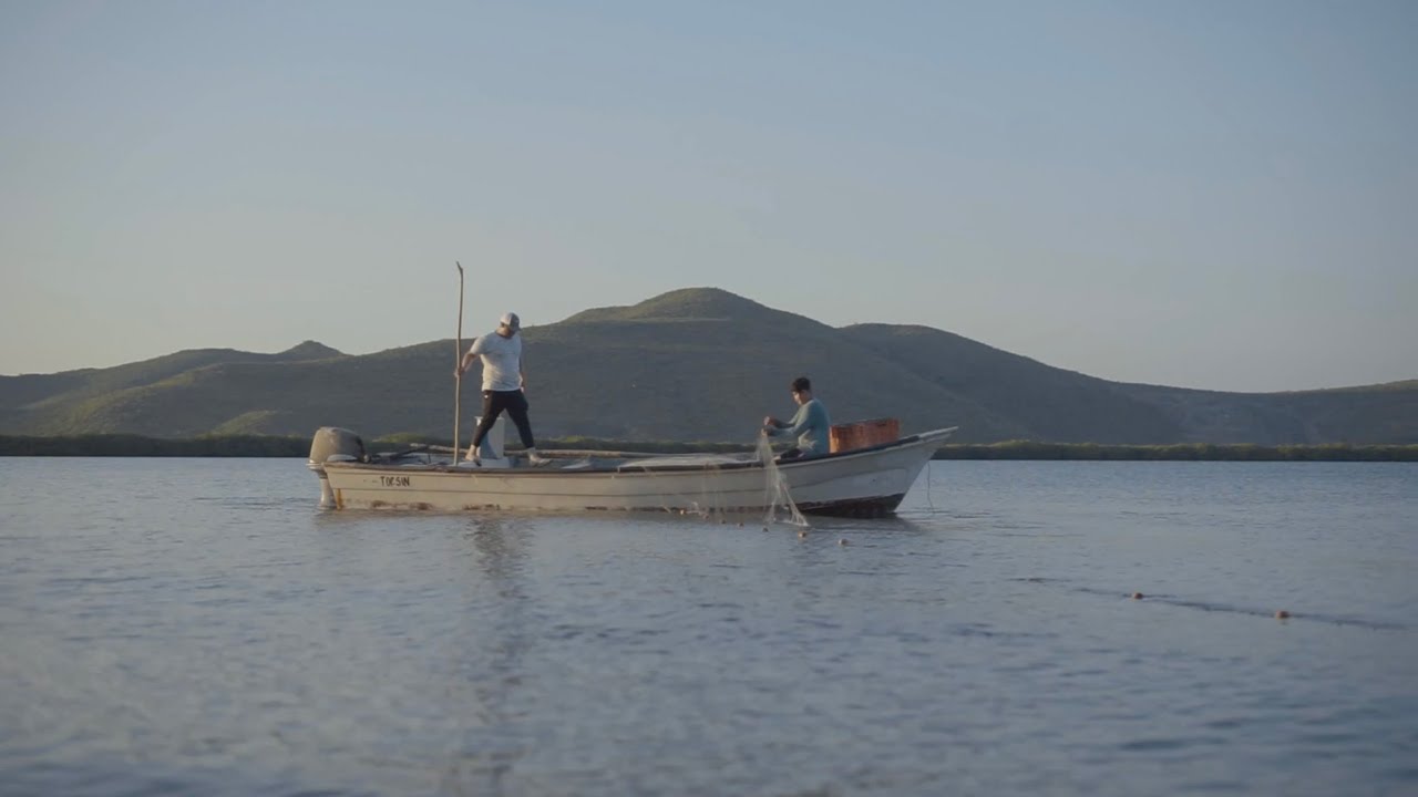 Vida Dura | RECIO (Video Oficial)