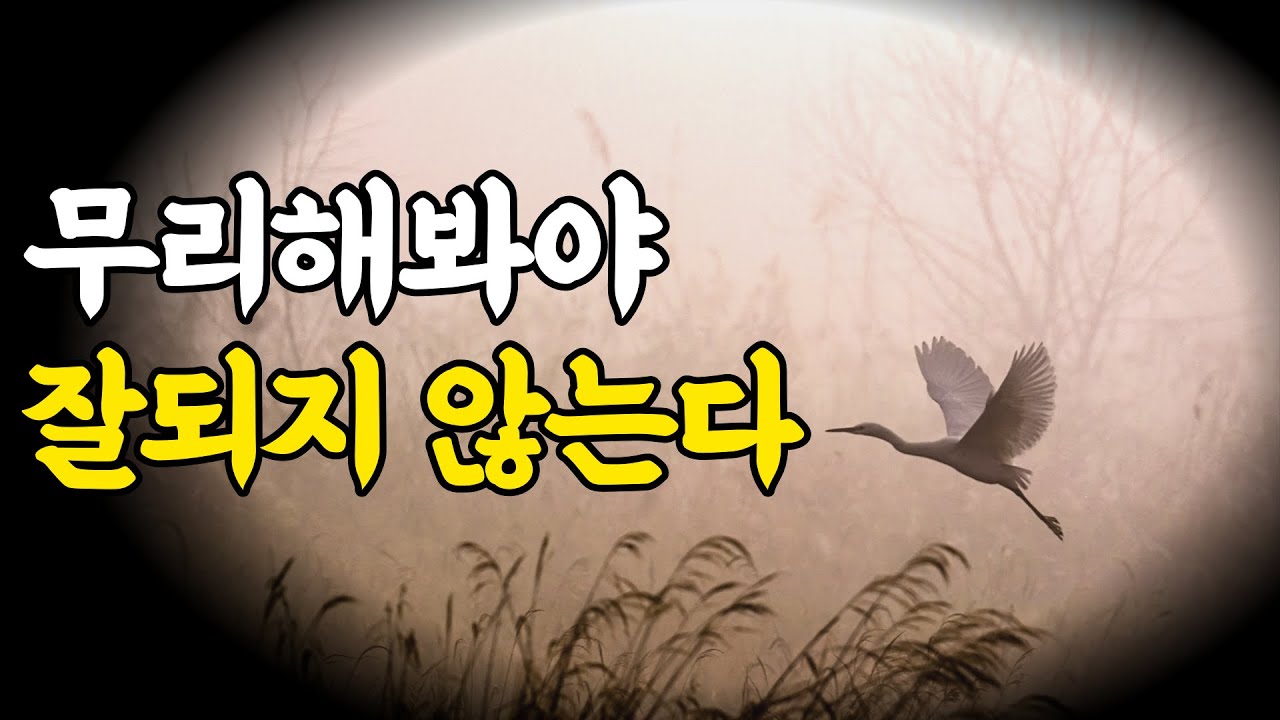 노자, 장자 도가철학에서 배우는 애쓰지 않는 삶