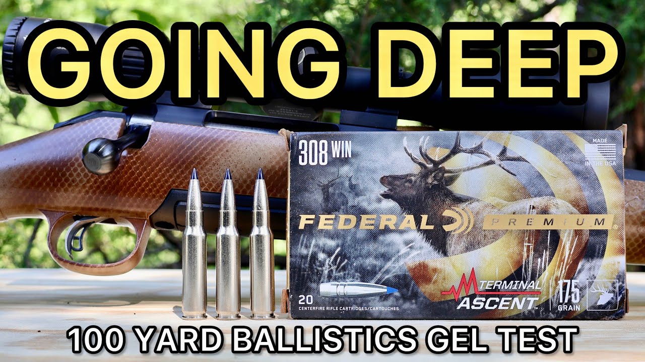 308 Winchester Federal Terminal Ascent Ballistics Ballistics Тест гелевых боеприпасов
