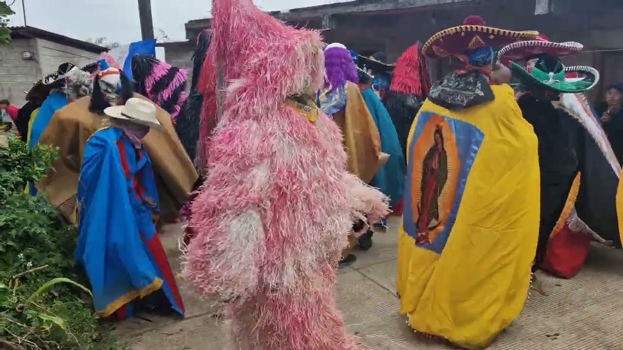 Carnaval 2025 San Andrés Hidalgo ( Sábado 1 de Marzo )