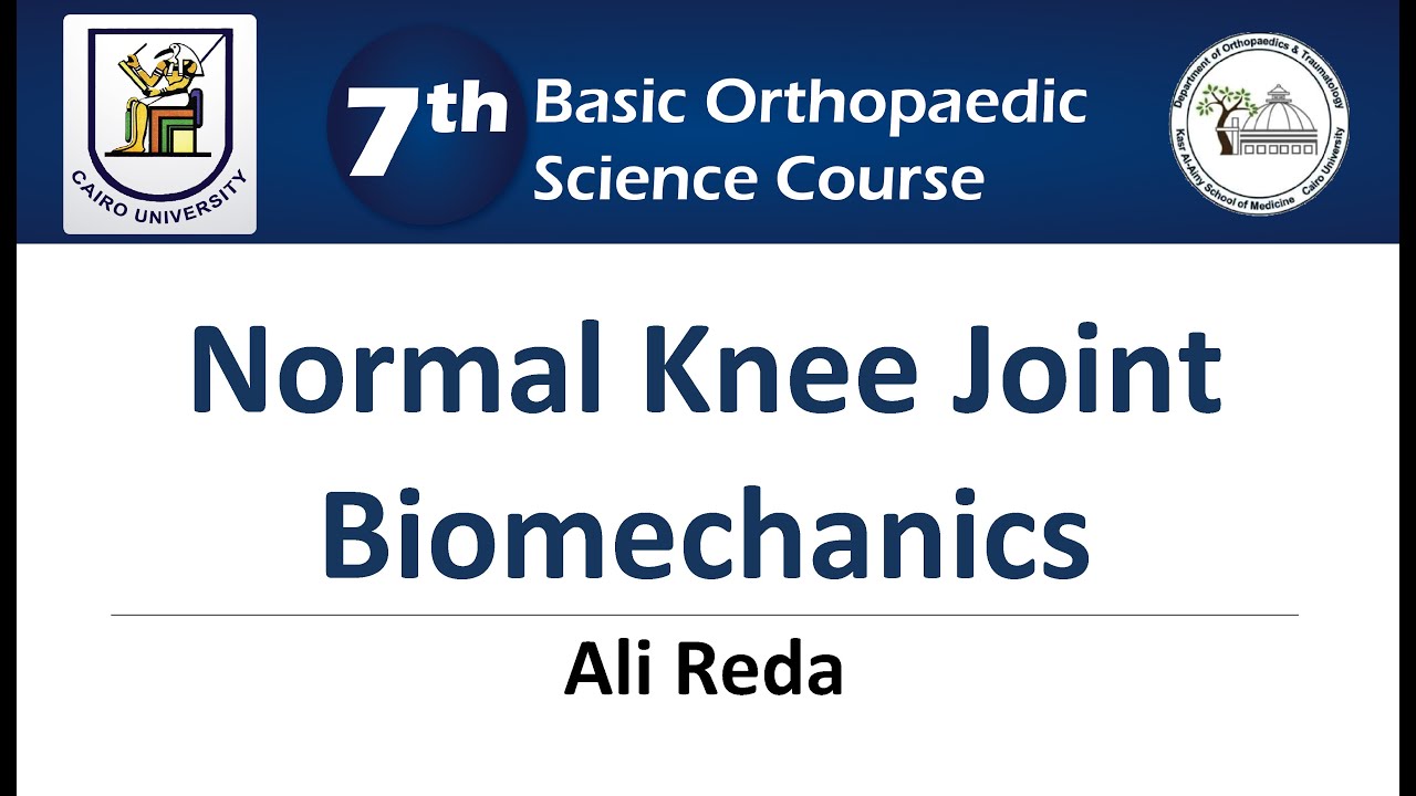 Normal Knee Joint Biomechanics