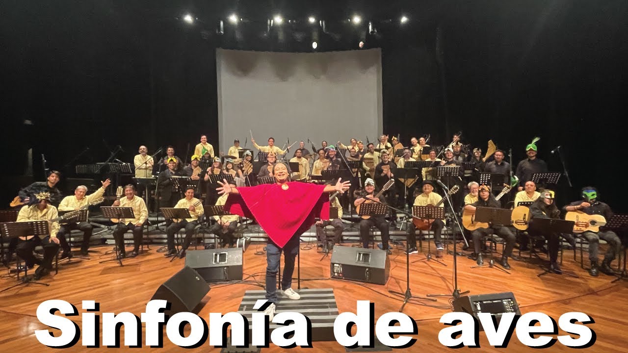 Mashi - Sinfonía de aves