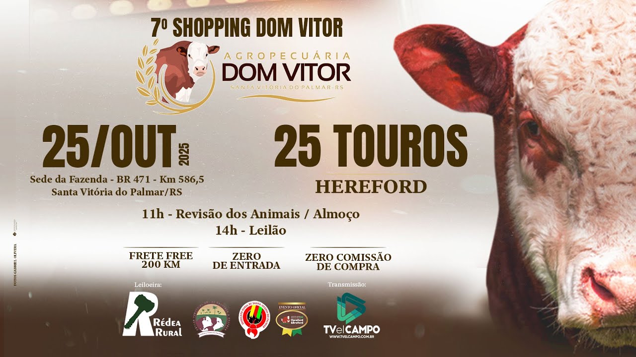7º Shopping Dom Vitor - 25 Touros Hereford