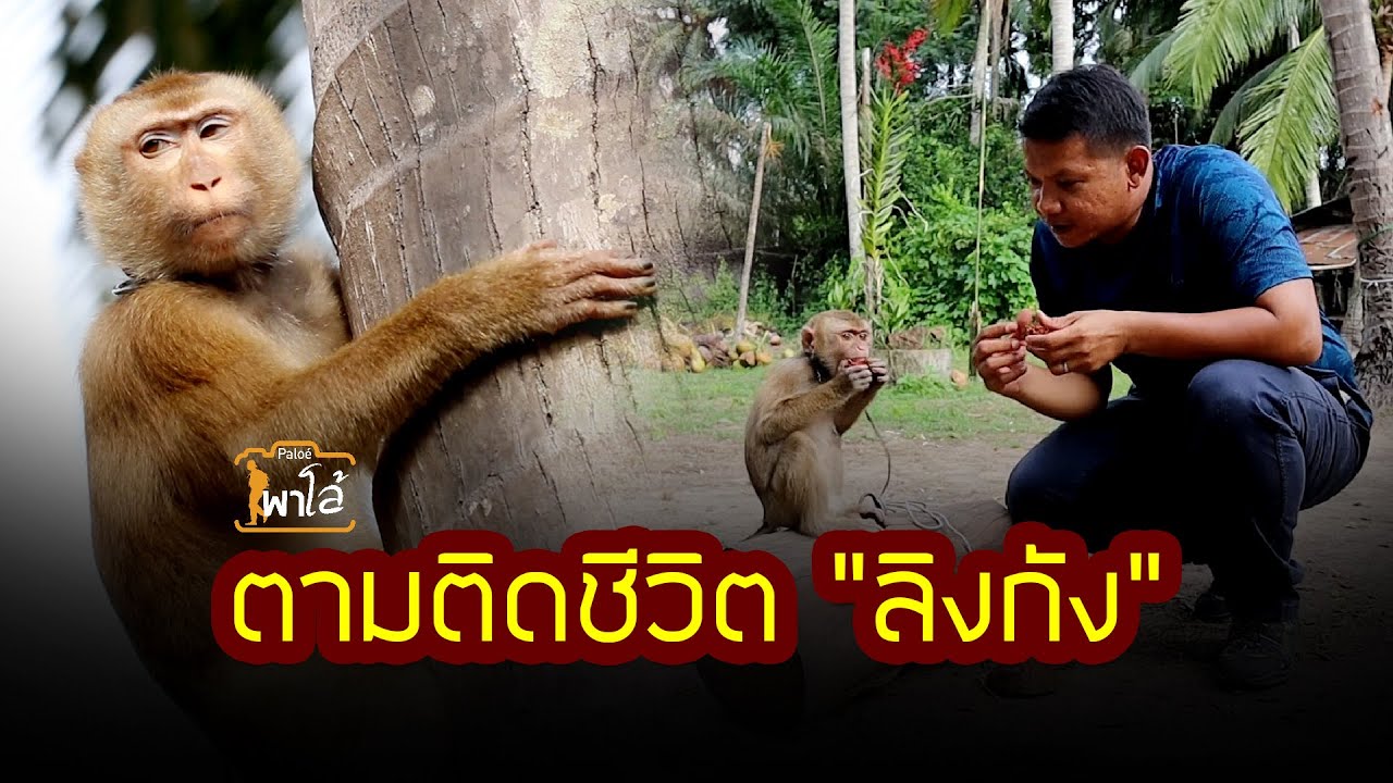 ตามติดชีวิต 
