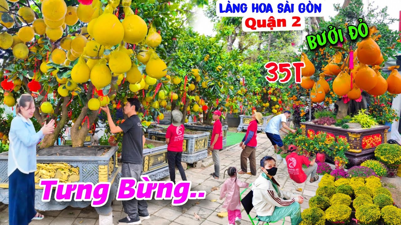 Vàng Rực