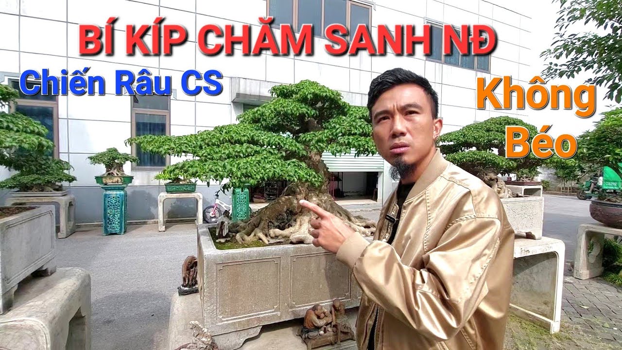 CHIẾN RÂU CS KINH NGHIỆM QUÝ GIÁ chăm sanh NĐ KHÔNG BỊ BÉO ngược lại GIÀ ĐANH .