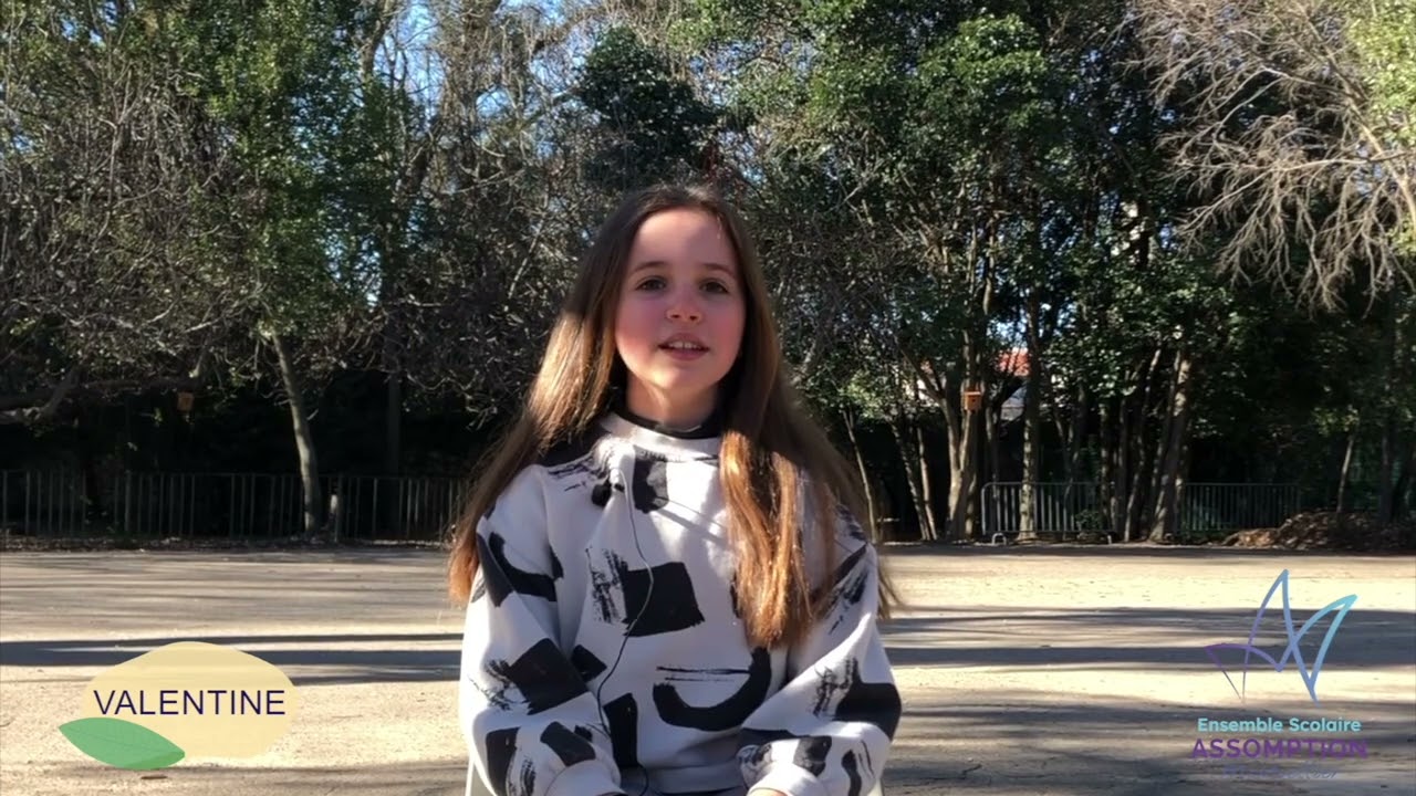 Assomption Montpellier vu par les élèves