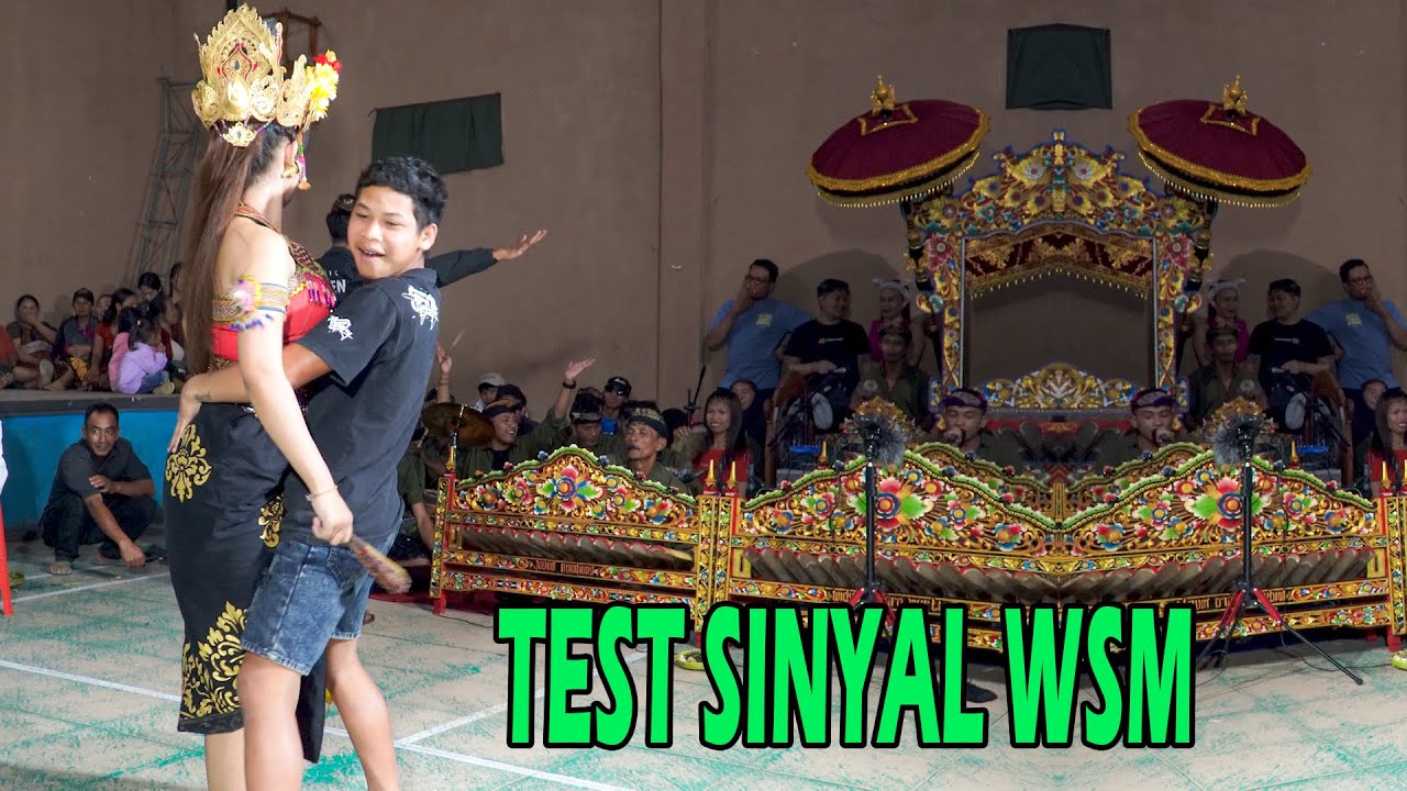 Test Sinyal WSM