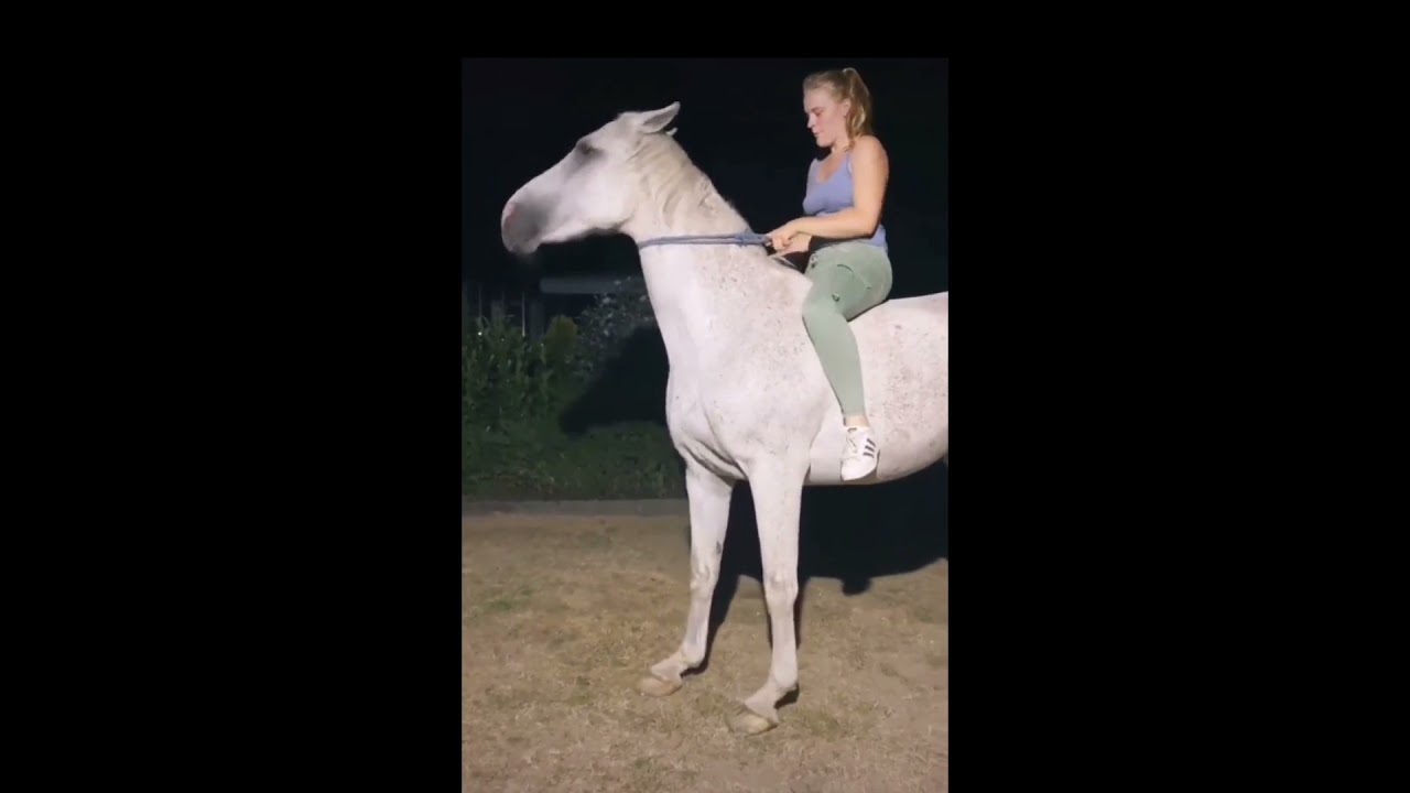 horse fails part 1/ilovegorgias