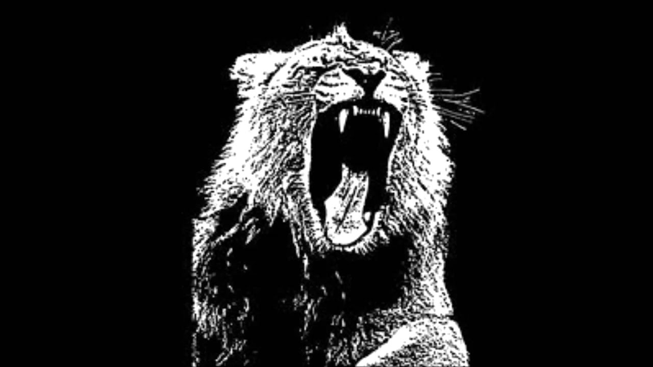 Animals by Martin Garrix (Clean)