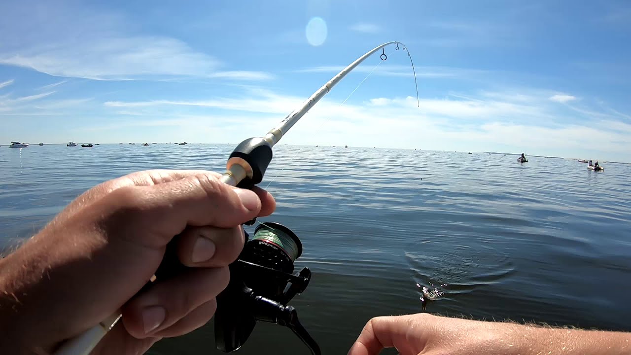 Kur&scaron;ių marių e&scaron;eriai su MEMEL COAST FISHING