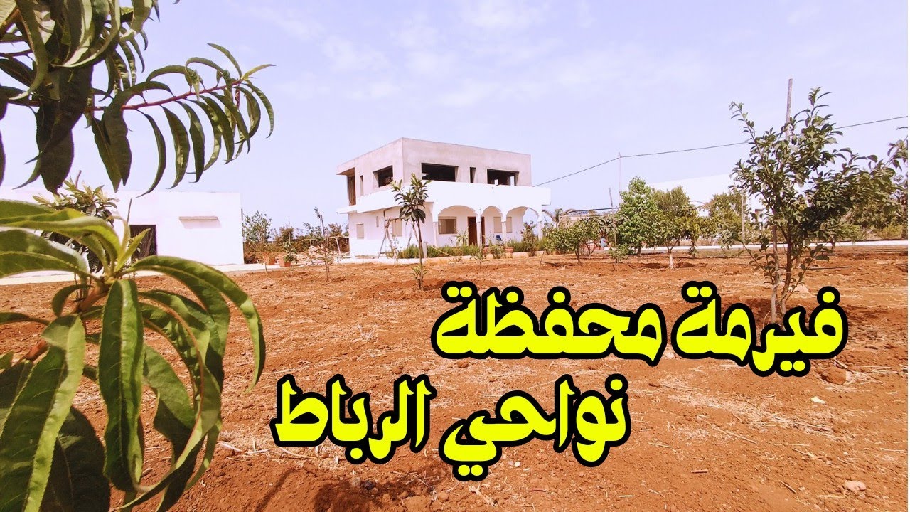 فيرمة صغيرة محفظة بمنطقة سيدي يحيى زعير نواحي الرباط