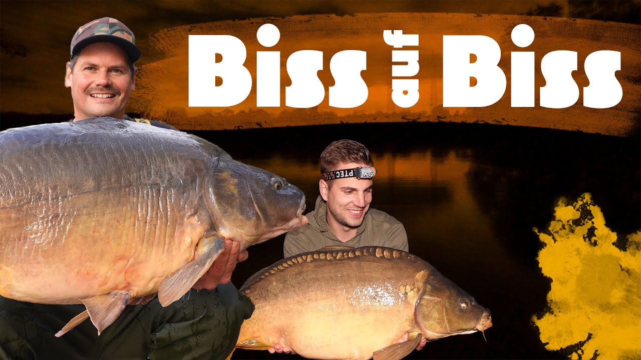 😳😎 Exaktes Timing | Biss auf Biss | ❄️ Karpfenangeln im Frühwinter
