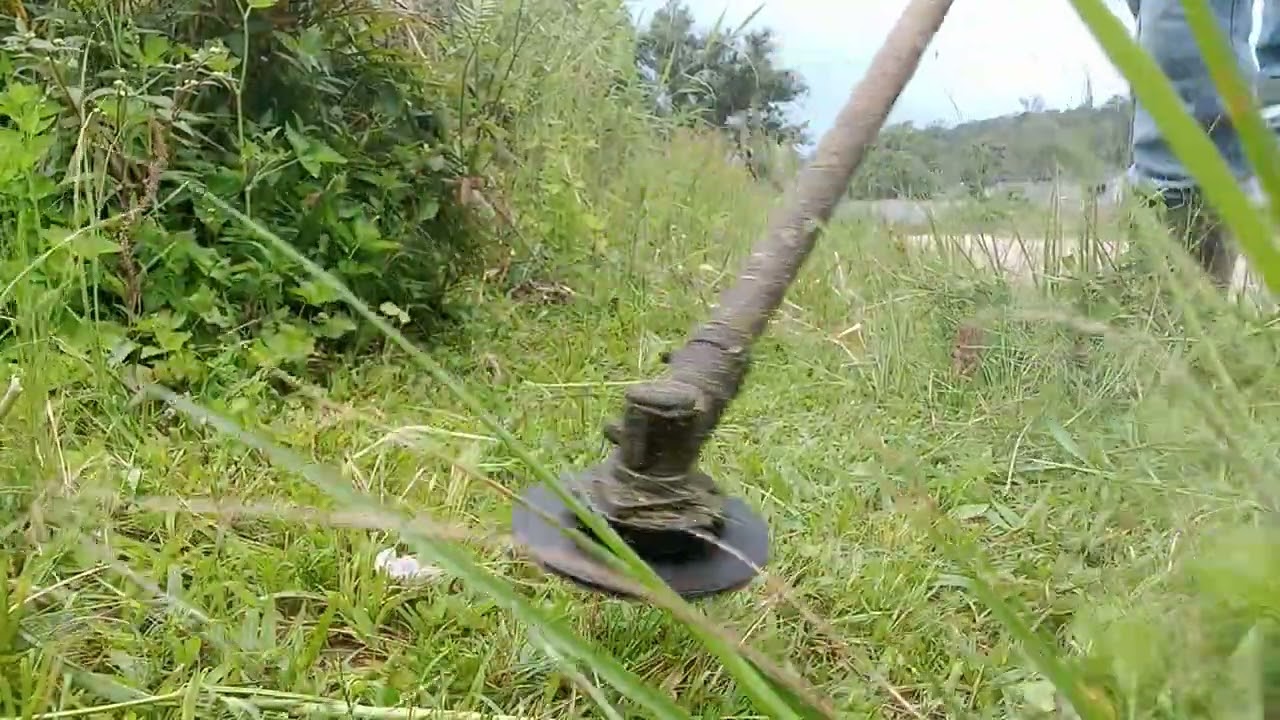 #roçadeira#mato#jardinagem #sustentabilidade #sustentabilidade