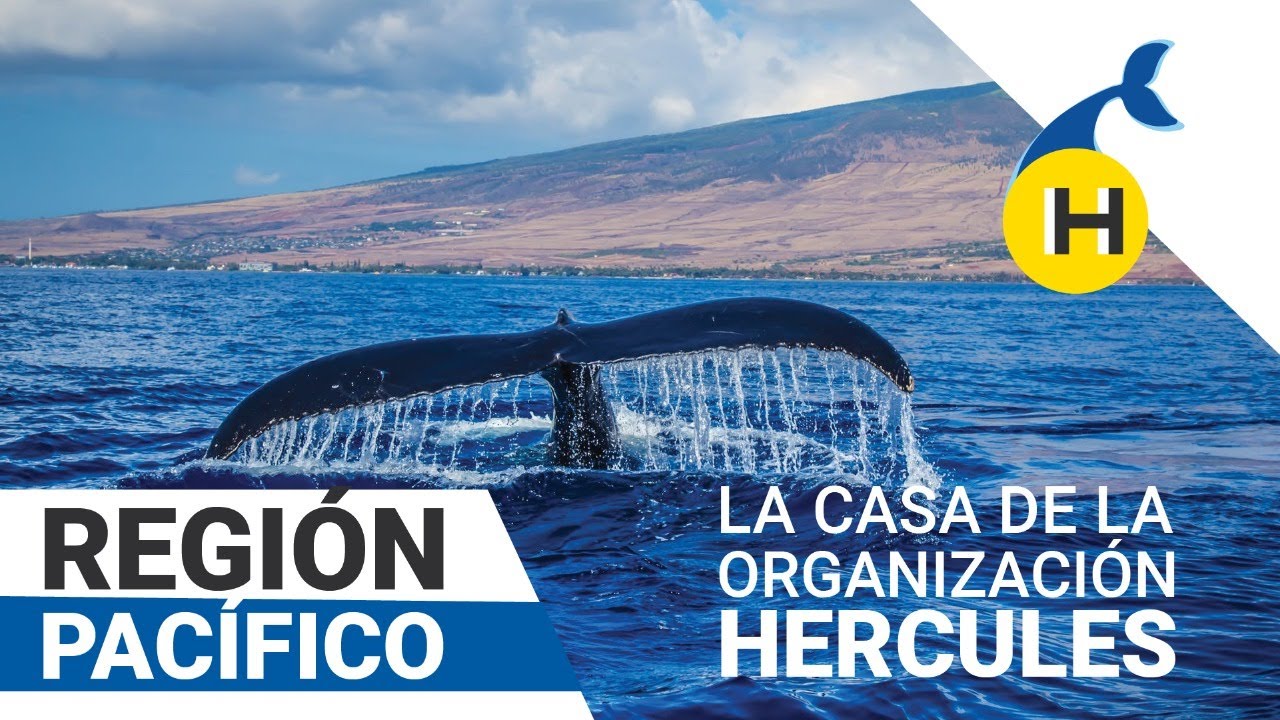 Regi&oacute;n Pacifico