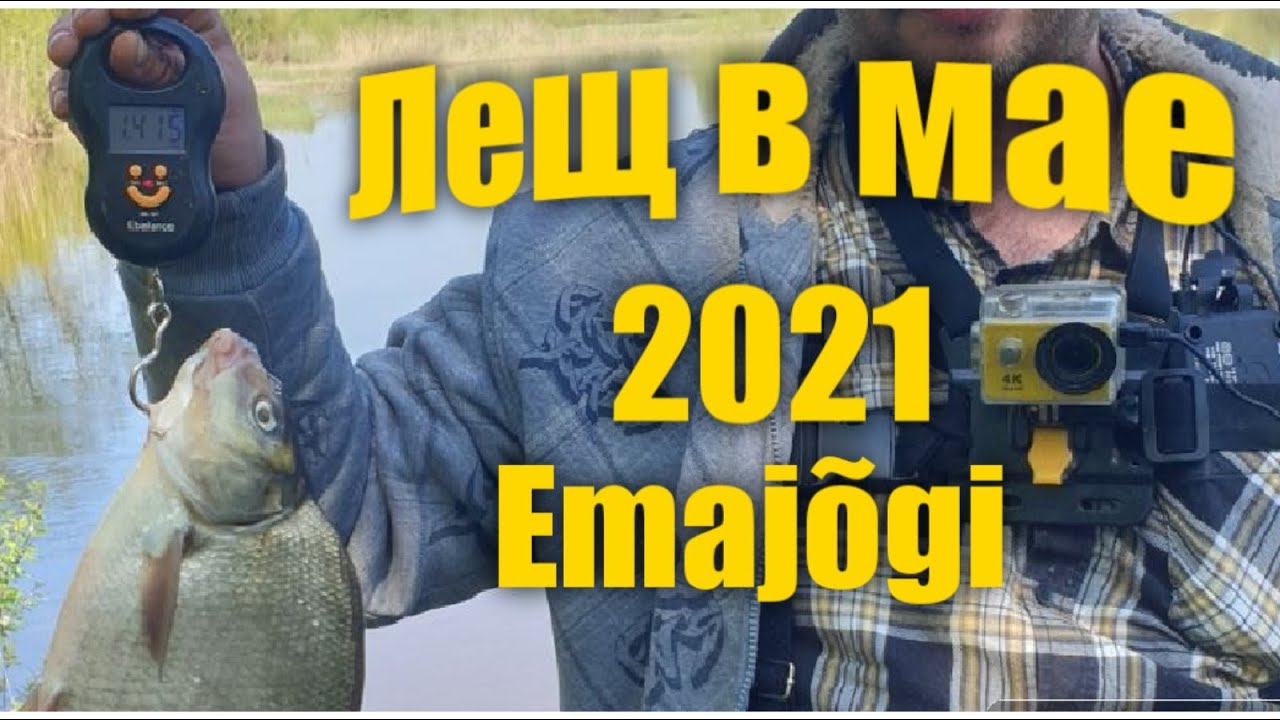 Лещ в мае 2021 . Emajõgi .Рыбалка в Эстонии .