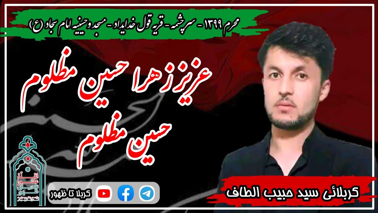 سینه زنی روز عاشورا با مداحی سید حبیب الطاف، (عزیز زهرا حسین مظلوم حسین مظلوم)
