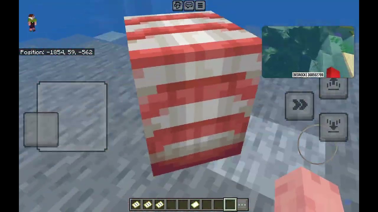 I Found a Naturally Spawned Nautilus