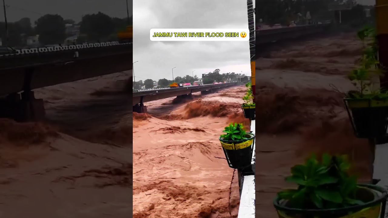 🌊 Tawi River Flood 2025 | Dangerous Flow  | Day 9/100 day challenge | #Shorts #flood #FloodScenes