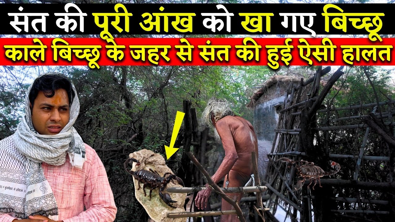 इस जंगल में रहने वाले संत के दर्शन होकर हुआ अद्भुत चमत्कार@BrajVihar #santdarshan