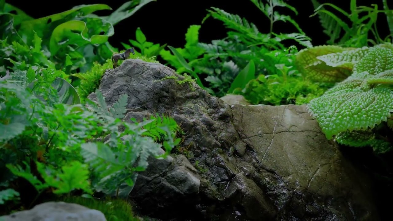 RAINFOREST 4K CINEMATIC   Relaxing Piano Music & Water Sounds for Sleep, Meditation, Spa & Yoga