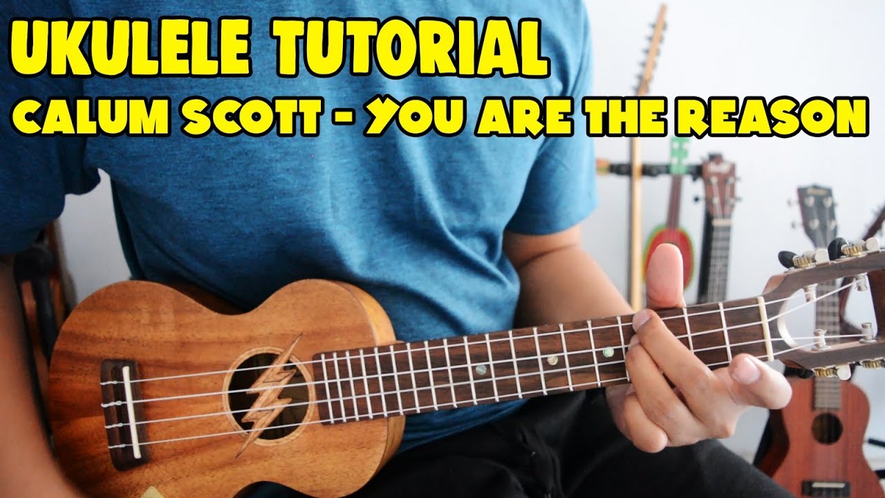 Tutorial Ukulele Pemula:  CALUM SCOTT - YOU ARE THE REASON